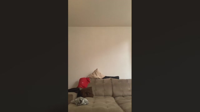 bigvito2  10-03-2022